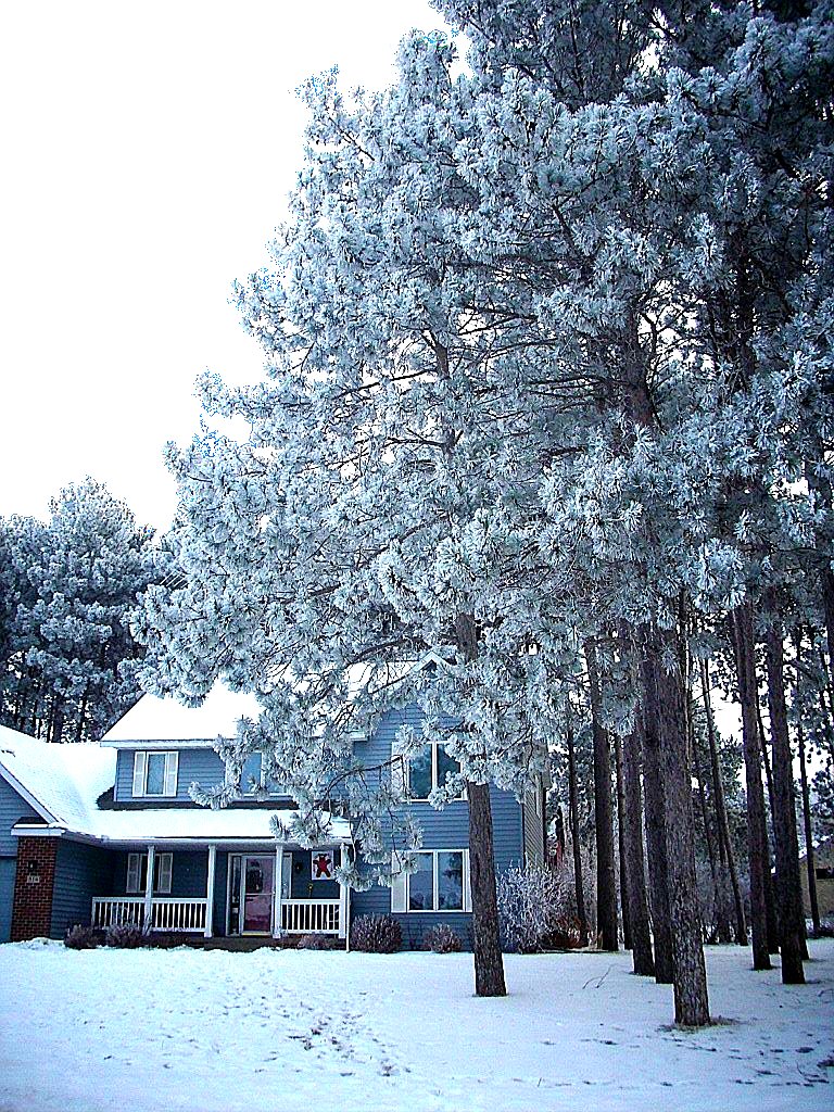 Hoarfrost in Minnesota 2021